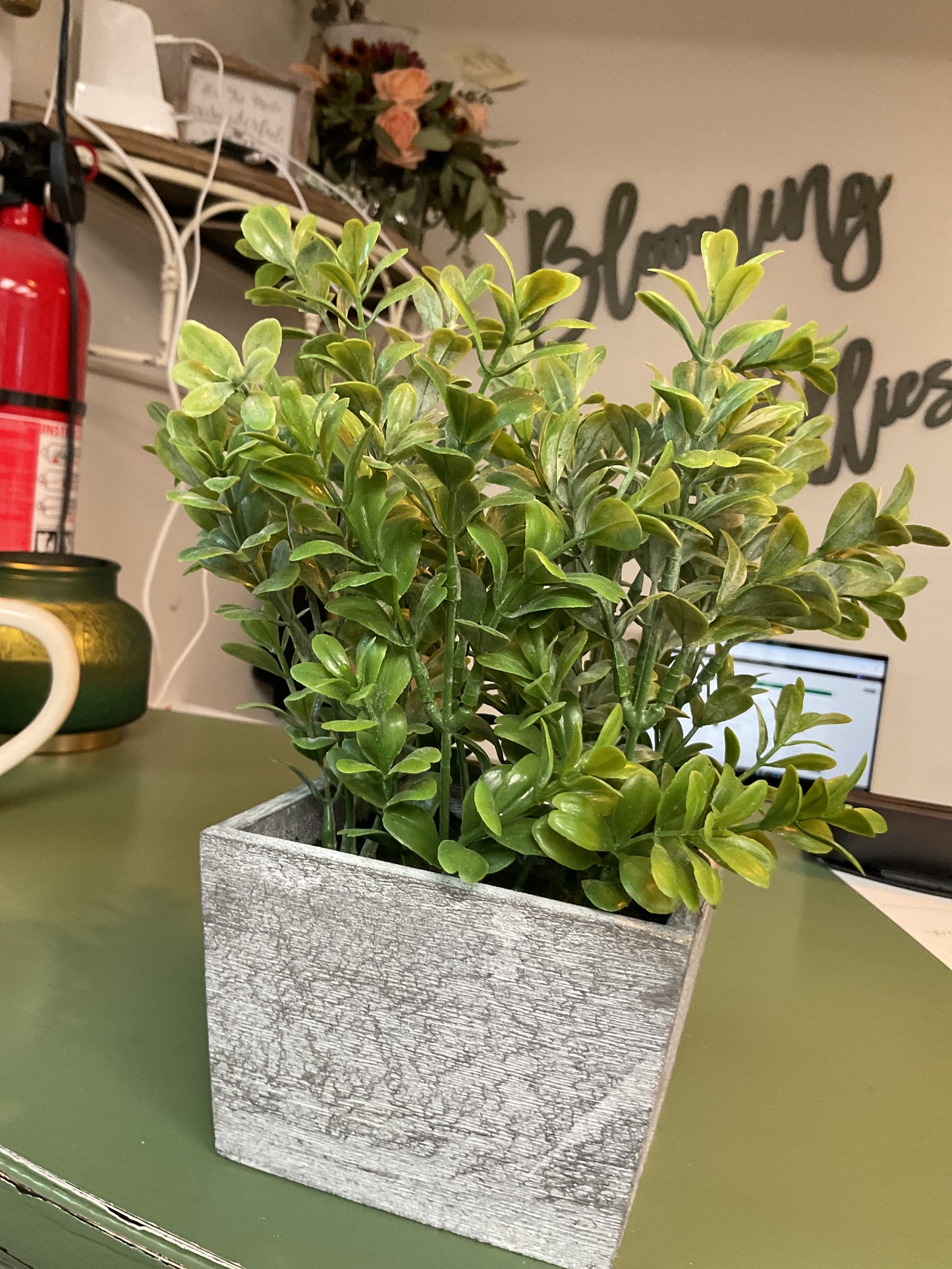 Green plastic plant gray square pot