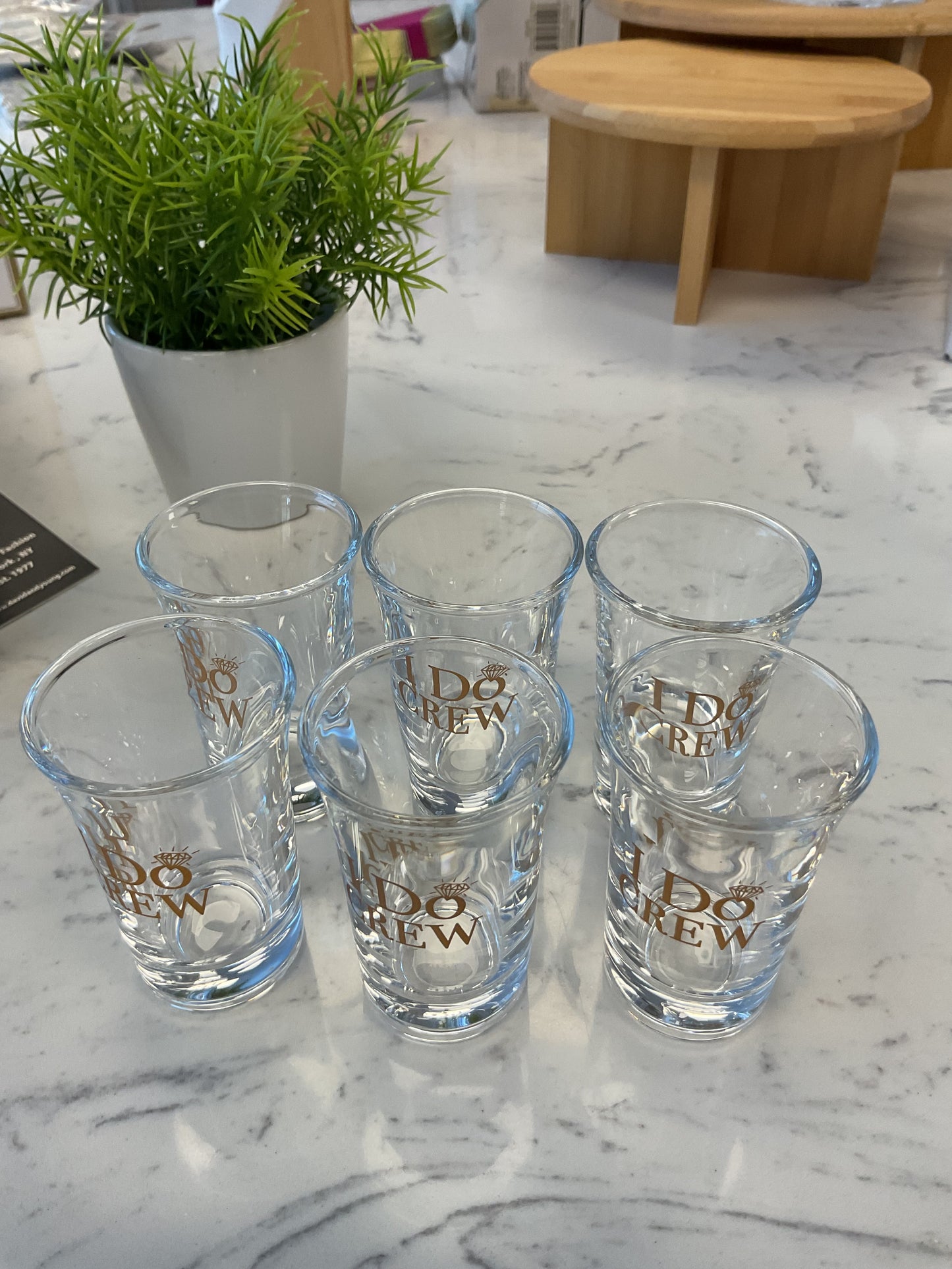 Set of 6 Bridal party shot glasses